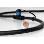 Plug & Shine kabelis 1m