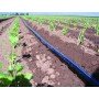 Juosta Aqua-Traxx 8mil x 20cm (400m)