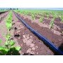 Juosta Aqua-Traxx 15mil x 30cm (1300m)