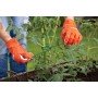 Sodo viela Soft 4 mm x 6 m