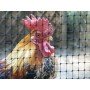 Tinklas nuo kurmių 1 x 200 m (60 g/m²) VOLIERE