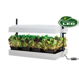 „Grow Light Garden“ daigykla 16W Balta