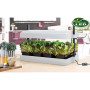 „Grow Light Garden“ daigykla 16W Balta