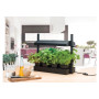 „Micro Grow Light Garden“ daigykla 8W Juoda