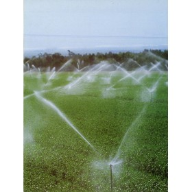 Purkštuvas 5035, 1610 l/val, sektorinis