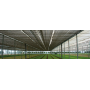 Tinklas nuo saulės ROBUXTA 2 x 10 m