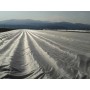 Arricover apsauginis tinklas 2 x 100 m