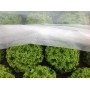 Arricover apsauginis tinklas 2 x 100 m