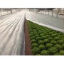 Arricover apsauginis tinklas 2 x 100 m