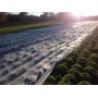 Arricover apsauginis tinklas 2 x 100 m