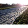 Arricover apsauginis tinklas 2 x 10m